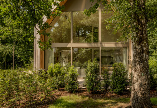 Moderne lodge med store glasvinduer omgivet af frodige grønne planter og træer i en skov.