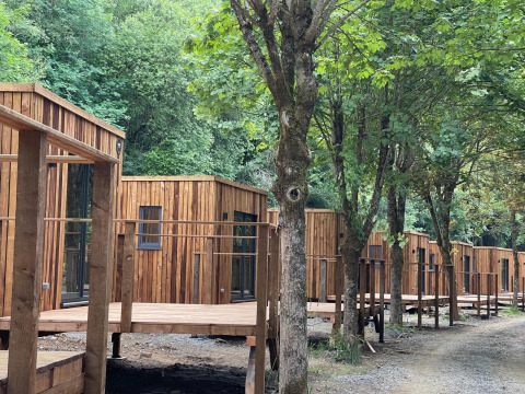 Houten huisjes in het bos bij Eco Lodge, Hameau de l'Ourthe, België, gezien vanaf het bospad.
