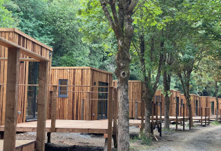 Houten huisjes in het bos bij Eco Lodge, Hameau de l'Ourthe, België, gezien vanaf het bospad.
