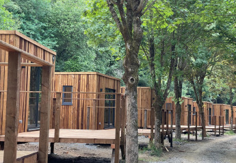 Houten huisjes in het bos bij Eco Lodge, Hameau de l'Ourthe, België, gezien vanaf het bospad.