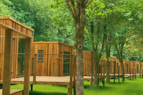 Houten lodges bij Eco Lodge in Hameau de l'Ourthe, België, omgeven door groene bomen en gras.