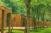 Cabanes en bois de l'Eco Lodge au Hameau de l'Ourthe, Belgique, au cœur d'une verdure luxuriante.