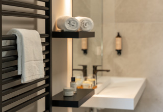 Modernes Bad in einer Lodge mit weißen Handtüchern, Pflegeprodukten auf Regalen und elegantem Waschbecken.