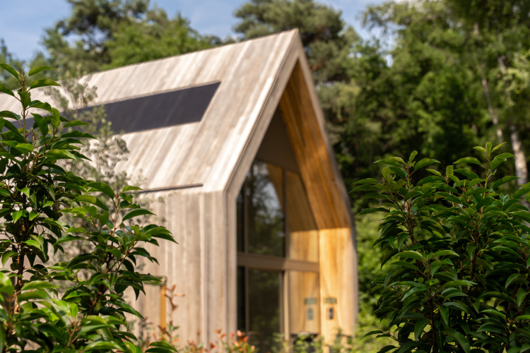 Cabaña de madera con grandes ventanas y panel solar en el techo, rodeada de vegetación de bosque.