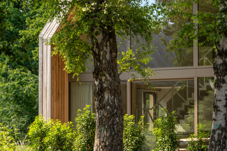 Lodge moderno en Woodz Lodges en Bélgica, grandes ventanales, rodeado de exuberante vegetación.