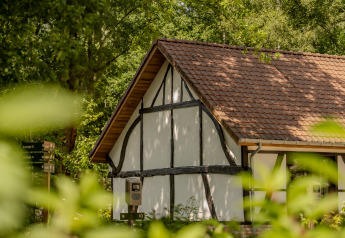Traditionele villa lodge met jacuzzi en pannendak bij Woodz Lodges in België, omgeven door natuur.