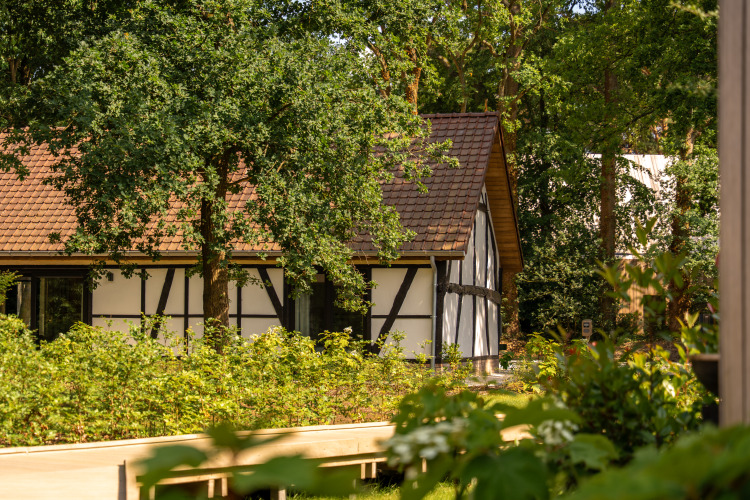 Traditionelle Villa Lodge mit Jacuzzi, umgeben von Natur und Bäumen bei Woodz Lodges in Belgien.