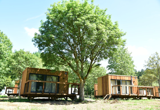 Deux cabanes en bois au lodge Cocoon de l'Ourthe, entourées d’arbres verdoyants lors d’une journée ensoleillée.