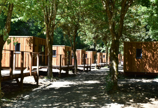 Houten lodges omgeven door bomen en natuur, verbonden door vlonders in een rustige, groene omgeving.