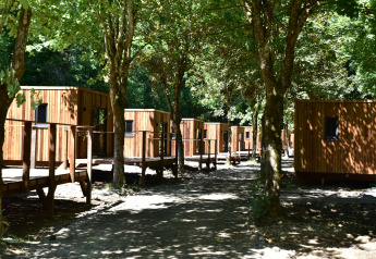 Houten lodges omgeven door bomen en natuur, verbonden door vlonders in een rustige, groene omgeving.