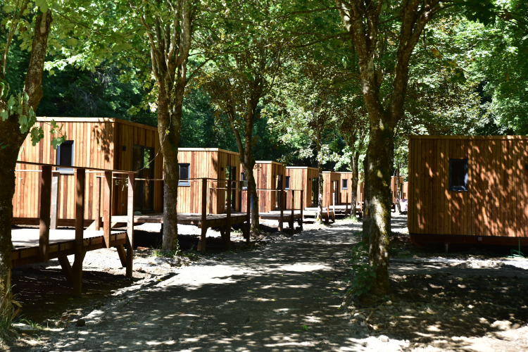 Houten chalets op een lodge, tussen de bomen, verbonden door houten wandelpaden in de natuur.