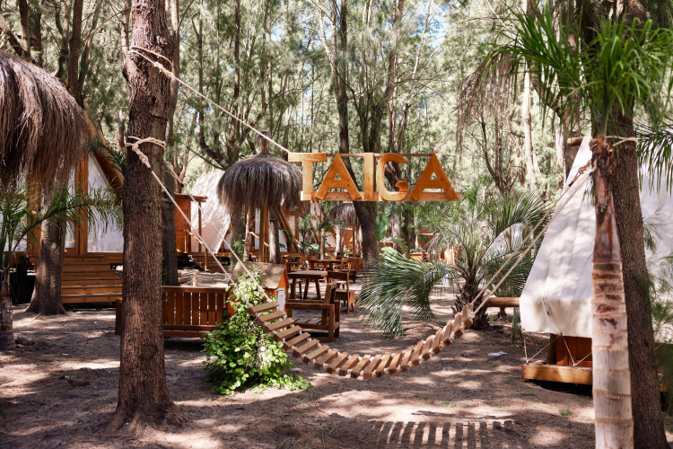 Glamping bij TAIGA Tarifa in Andalusië, Spanje, met hangmat, houten hutten en bomen in een bosrijke setting.