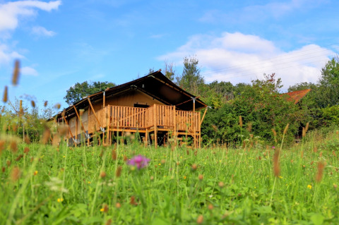 Glamping safari tent met houten terras op Domaine La Barbe in Frankrijk, tussen het gras en de bloemen.