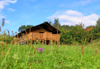 Glamping safari tent met houten terras op Domaine La Barbe in Frankrijk, tussen het gras en de bloemen.