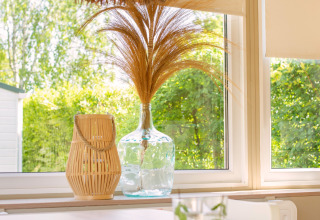 Cozy summer house interior in the Netherlands with glass vase, dried grasses, large windows and sunlight.