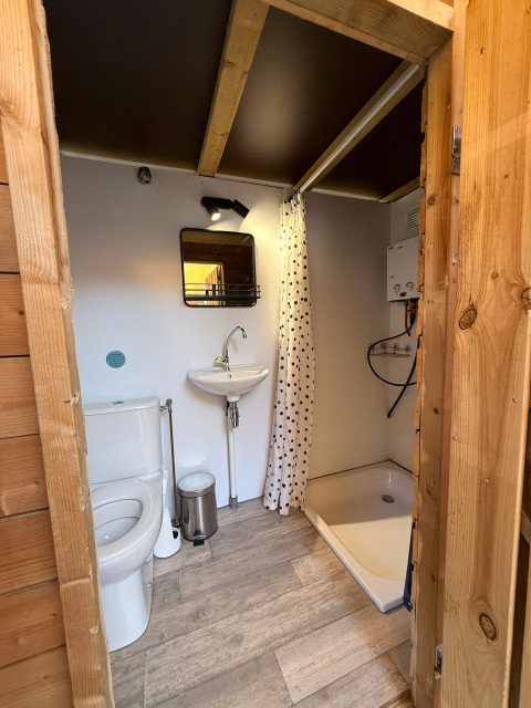 Bagno moderno con WC, lavandino, doccia, specchio e pareti in legno allo Zweedse Huisjes, Beloofde Land.