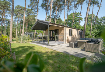 Lodge Terrace Chalet entouré de pins, terrasse aménagée, salon de jardin et espace vert dans une forêt.