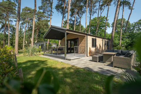 Terrace Chalet lodge immerso nel bosco, patio arredato e terrazza coperta circondati da pini alti.