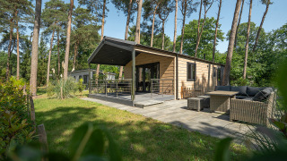 Lodge Terrace Chalet entouré de pins, terrasse aménagée, salon de jardin et espace vert dans une forêt.