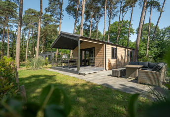 Terrace Chalet lodge immerso nel bosco, patio arredato e terrazza coperta circondati da pini alti.