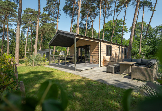 Terrace Chalet lodge immerso nel bosco, patio arredato e terrazza coperta circondati da pini alti.