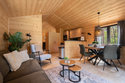 Indbydende opholdsstue i Terrace Chalet på Bospark Markelo, Nederlandene, med moderne indretning og træpaneler.