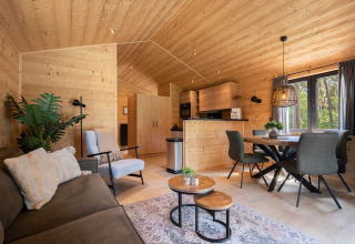 Accogliente soggiorno e sala da pranzo in legno al Terrace Chalet nel Bospark Markelo, Paesi Bassi.
