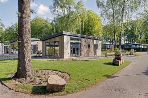 Modern Nova 4 person lodge with large windows, surrounded by greenery and trees on a quiet pathway.