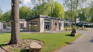 Modern Nova 4 person lodge with large windows, surrounded by greenery and trees on a quiet pathway.