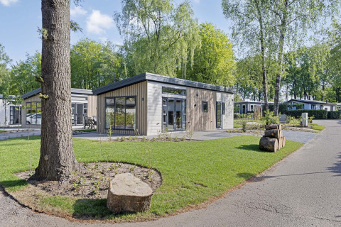 Moderno lodge Nova per 4 persone con ampie finestre, immerso nel verde e circondato da alberi.