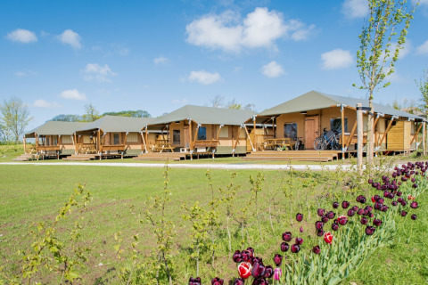 Safari tents at Camping Waddenzee holiday park in North Holland, Netherlands, with flowers and bikes nearby.
