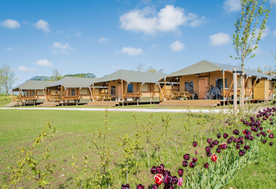 Safari tents at Camping Waddenzee holiday park in North Holland, Netherlands, with flowers and bikes nearby.