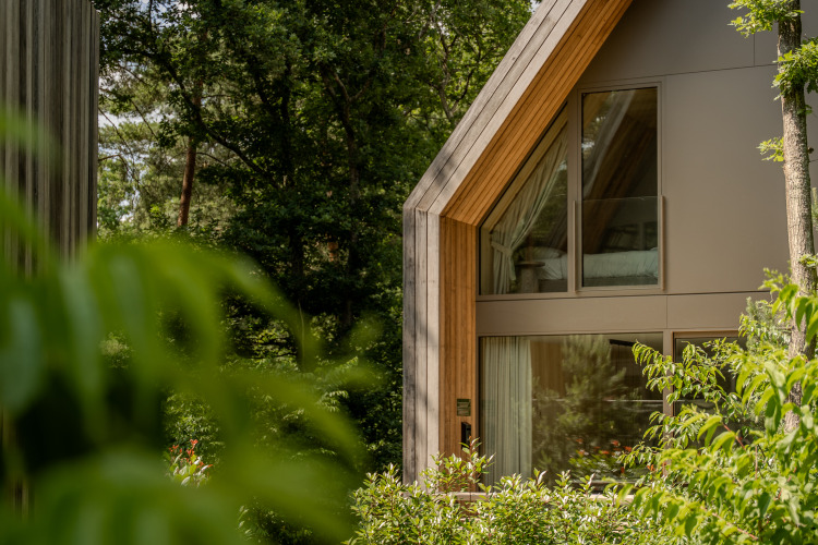 Una cabaña moderna con grandes ventanales rodeada de frondoso follaje verde y árboles altos en el bosque.