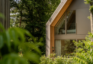 Una cabaña moderna con grandes ventanales rodeada de frondoso follaje verde y árboles altos en el bosque.