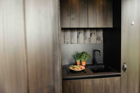 Modern tiny kitchen in Nokken NKN-18 Cabin at Wilsumer Berge, Germany, with herbs and fresh vegetables.