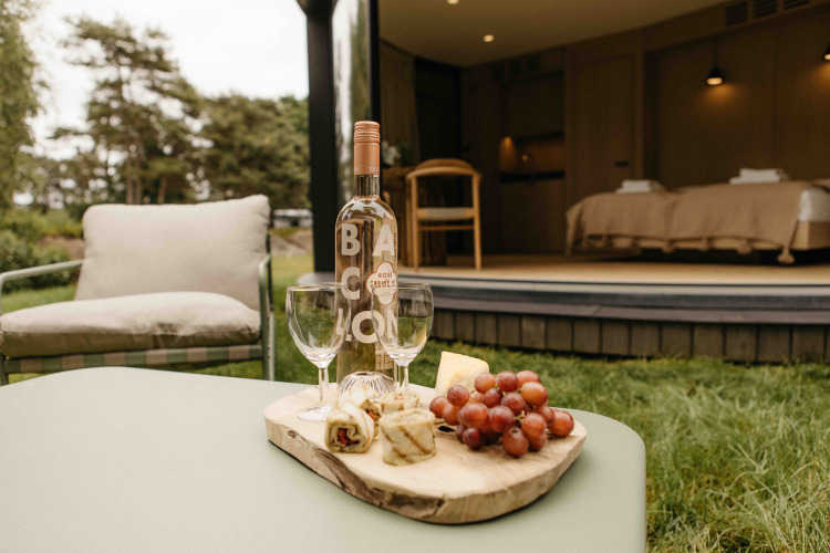 Buitentafel met wijn, glazen, kaas en druiven bij LumiPod tiny house op Wilsumer Berge in Duitsland.