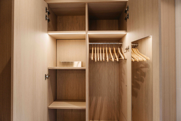 Afbeelding van een lege, moderne houten kledingkast met hangers in een LumiPod tiny house op Wilsumer Berge.