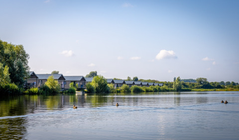 Modern lodges line a tranquil lake at Familievakantiepark Krieghuusbelten, Overijssel, Netherlands, in summer.