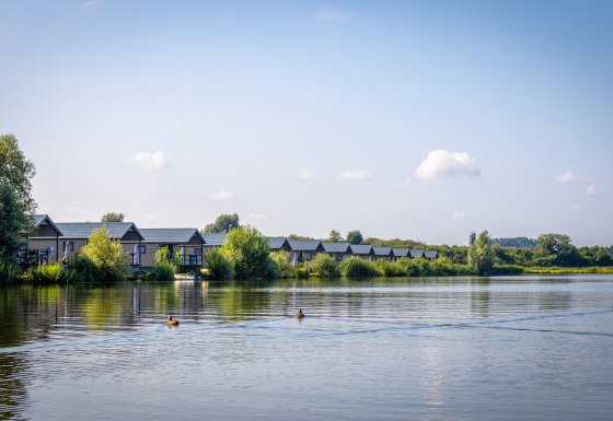 Moderne hytter langs en sø i Familievakantiepark Krieghuusbelten, Overijssel, Holland, med roligt landskab.
