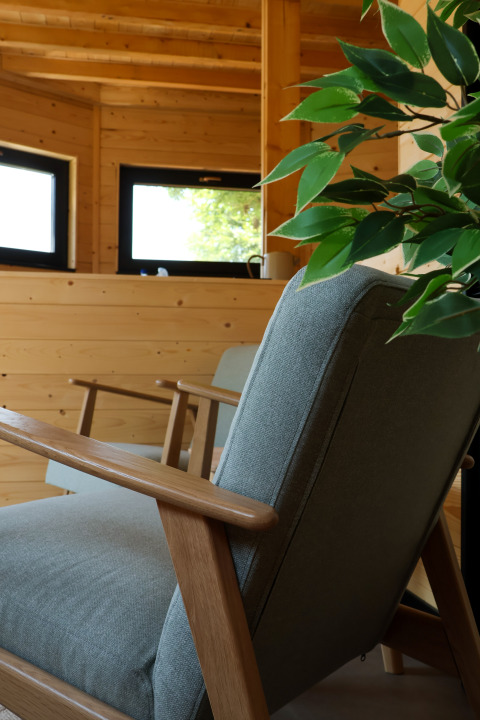 Sillón moderno de madera y cojines grises junto a plantas en una cabaña luminosa en Camping Vinkenhof.