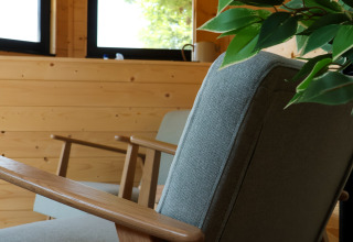 Sillón moderno de madera y cojines grises junto a plantas en una cabaña luminosa en Camping Vinkenhof.