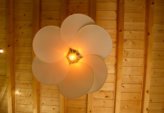 Lámpara de techo moderna con diseño en forma de pétalos iluminando cálidamente, vista desde abajo en Wellnest.