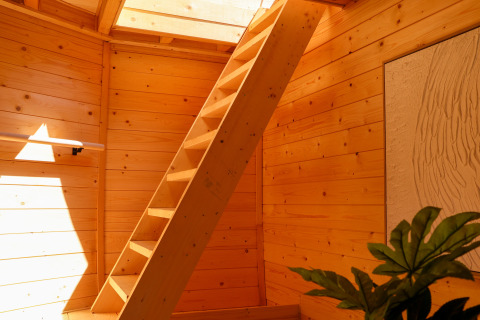 La luz del sol ilumina una sala revestida de madera con escalera, tragaluz y plantas en Wellnest, Vinkenhof.