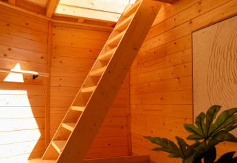 Luce solare riempie una stanza rivestita in legno con scala, lucernario e piante al Wellnest Lodge, Vinkenhof.