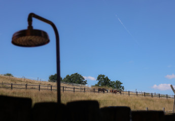 View from Wellnest at Camping Vinkenhof in the Netherlands with outdoor shower, fence and fields.