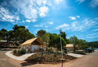 Safaritenten bij Camping Arena One 99 Glamping in Istrië, Kroatië, met groene bomen en blauwe hemel.