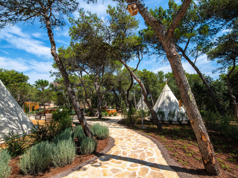 Sentiero di pietra tra pini e tende tipi al Camping Arena One 99 Glamping in Istria, Croazia, sotto il sole.