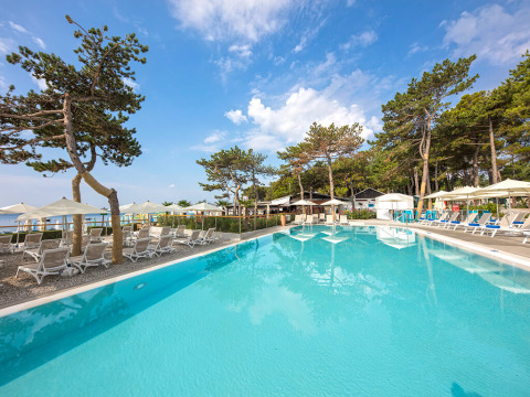 Piscine extérieure avec transats, parasols et pins au Valamar Camping Ježevac en Croatie