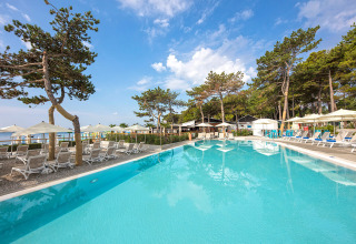 Outdoor pool with sun loungers, umbrellas, and pine trees at Valamar Camping Ježevac holiday park, Croatia