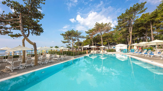 Piscina al aire libre con tumbonas, sombrillas y pinos en Valamar Camping Ježevac, Croacia
